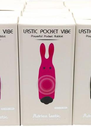 Набор вибраторов Adrien Lastic Pocket Vibe (25 штук) 777Shop.c...