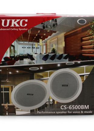 Потолочные динамики (колонки) UKC CS 6500