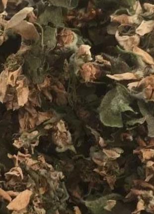 100 г груша цвет сушеный (Свежий урожай) лат. Pýrus