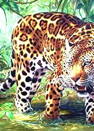 Алмазна мозаїка Леопард на полюванні 24*34 см. Набір алмазної ...