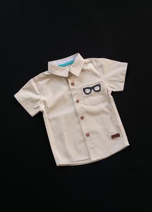 Рубашка с коротким рукавом lc waikiki на 9-12 месяцев (размер ...