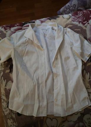 Белая блузка, рубашка фирмы frank walder, кофта, блуза, тенниска