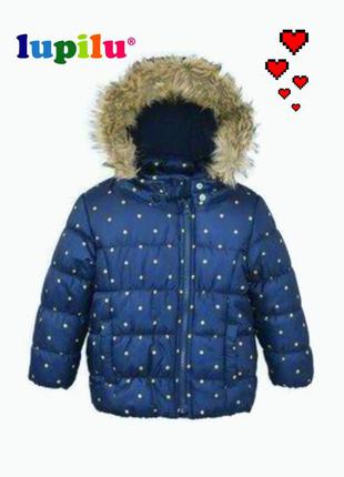 Стильная куртка для девочки синяя в горошек lupilu 1-2лет