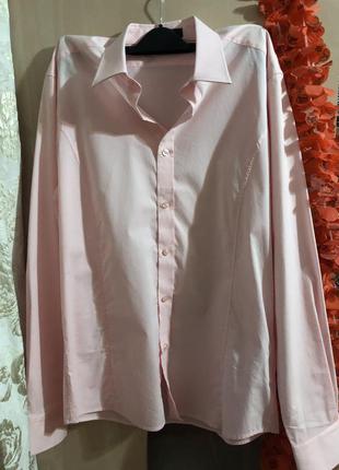 Фирменная котоновая розовая рубашка mishumo