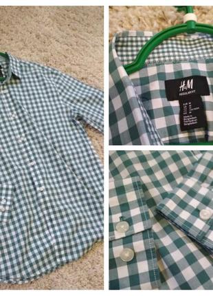 Дуже дуже класна сорочка, катон, клітина, h&m, p. 10/12