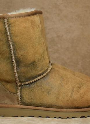 Угги ugg australia classic novelt ботинки зимние овчина цигейк...