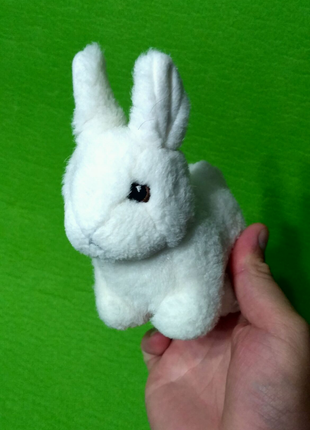 Белый заяц кролик