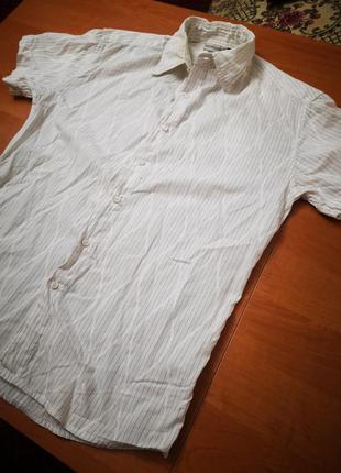 Белая рубашка, тенниска фирмы clockhouse, кофта