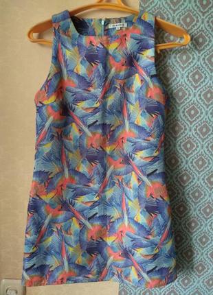 Платье женское с принтом "попугаи"