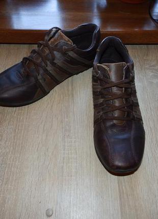 Повседневная обувь , кроссовки red herring men's casual shoes