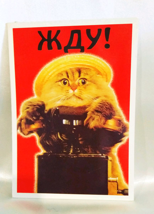 Набор открыток.  =Милые котики=