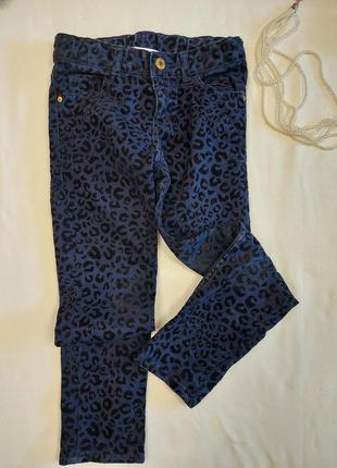 Джинсы темно-синий леопард