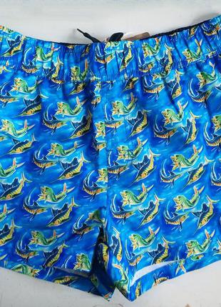 Распродажа! мужские шорты для купания  испанского бренда koalaroo