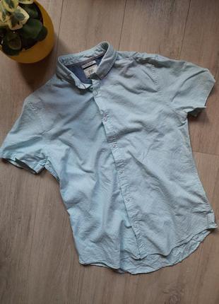 Рубашка f&f мужская одежда летняя хлопок