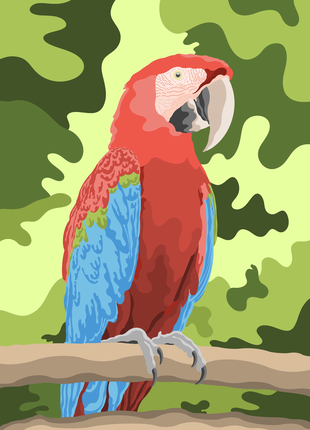 Art Parrot Ara