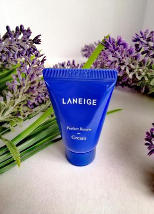 Корейский дневной крем бестселлер laneige корейская косметика