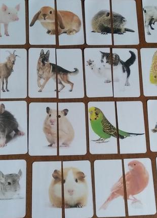 Картки половинки домашні та свійські тварини
