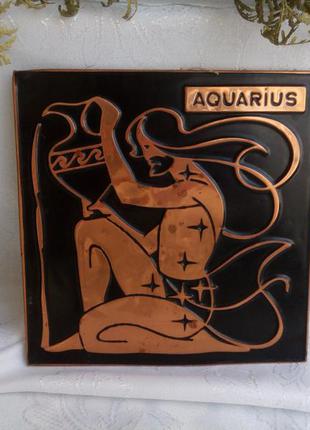 Аquarius знак зодиака водолей медная чеканка картина настенное...