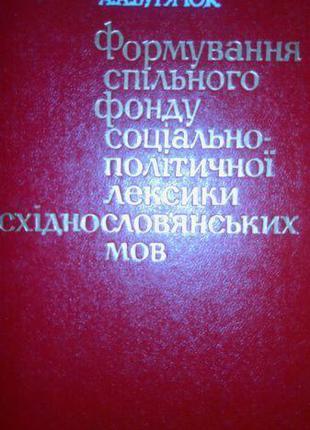 Бурячок, Андрій Андрійович. Формування спільного фонду соціаль...