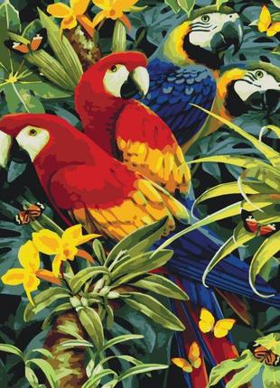Картина по номерам " Різнокольорові папужки "