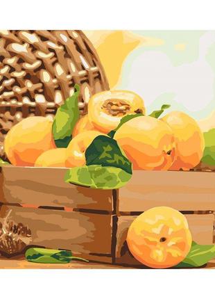 Картина по номерам " Золотистий абрикос "