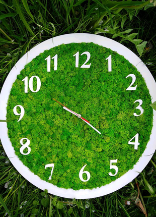 Годинник з стабілізованим мохом
