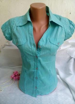 Блузка code рубашка, хлопок, голубая (бирюзовая)