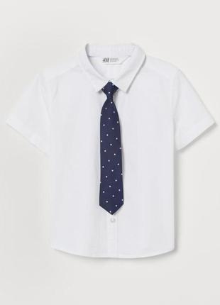 Белая рубашка h&m с галстуком 1.5-2 года