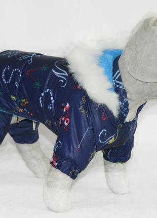 Комбинезон костюм для собаки забава синий