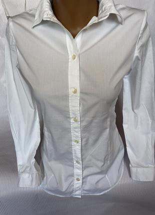 Белая базовая рубашка burberry