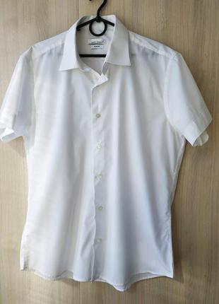 Белая рубашка шведка
