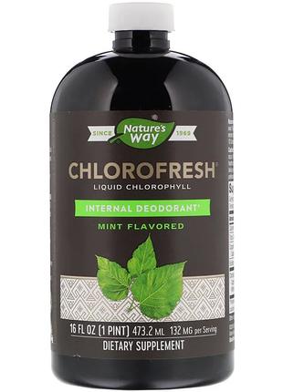 Рідкий Хлорофіл, Chlorophyll Liquid, nature's Way, (м'ятний см...