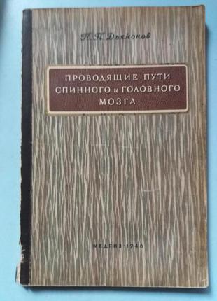 Проводящие пути спинного и головного мозга.