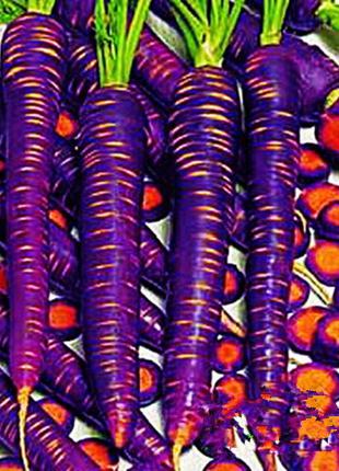 Семена "Морковь Фиолетовая" (смесь сортов)