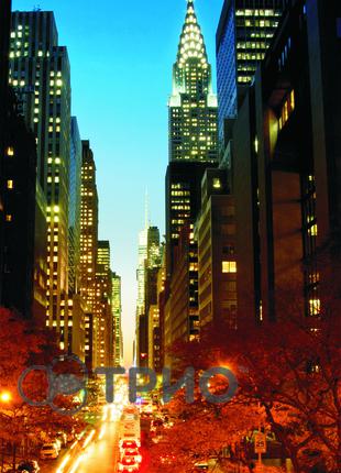 Настінний обігрівач-картина Манхеттен ТМ Тріо
