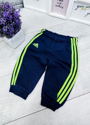 Спортивные штаны adidas синие с салатовым  6-9 месяцев двунитка