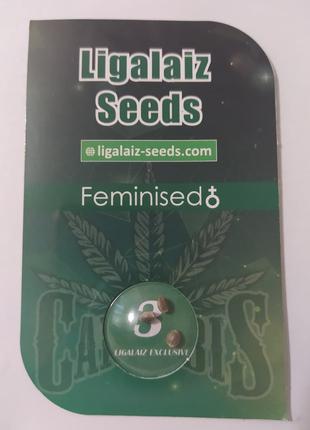 Феминизированные семена конопли в оригинальной упаковке