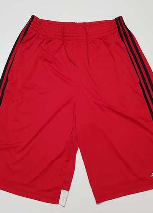 Шорты adidas climalite. новые!