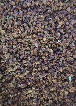 100 г щавель конский семена/цвет сушеные (Свежий урожай) лат. ...