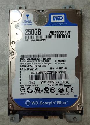Жорсткий диск 2.5" 250Gb Western Digital Scorpio Blue, HDD