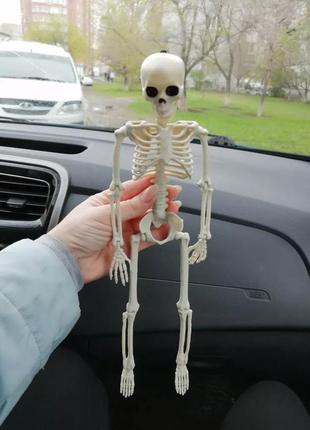 Подвижная модель человеческого скелета, 40 см, black friday!