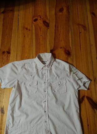 Фірмова рубашка сорочка fiori,оригінал,розмір l-xl.