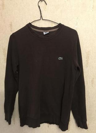 Lacoste кофта свитшот свитер мужской