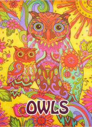 OWLS раскраска антистресс Сова