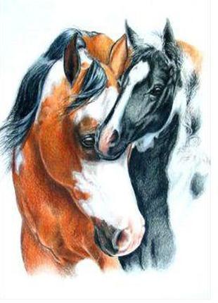 Алмазная вышивка "Пара лошадей", упряжка,любовь,воля,полная вы...