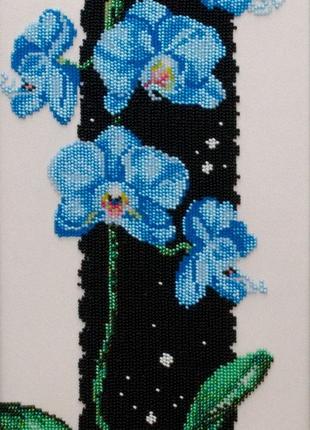 Набір для вишивки бісером "Синя орхідея" фаленопсис, ніч, зірк...
