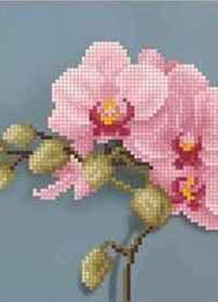 Схема для вишивки бісером " Рожева орхідея" часткова викладка,...