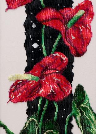 Набор для вышивки бисером " Спатифиллум красный " цветы, ночь,...