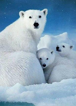 Алмазная вышивка" Белые медведи",снег,холод,пара,полная выклад...