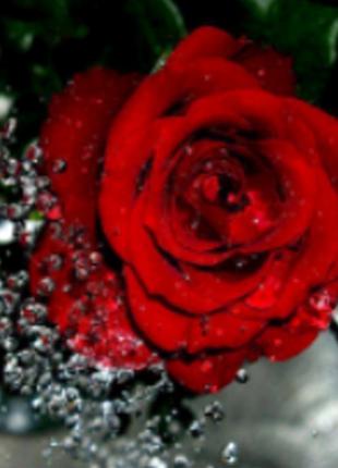 Алмазная вышивка "Красная роза",цветы,букет,частичная выкладка...